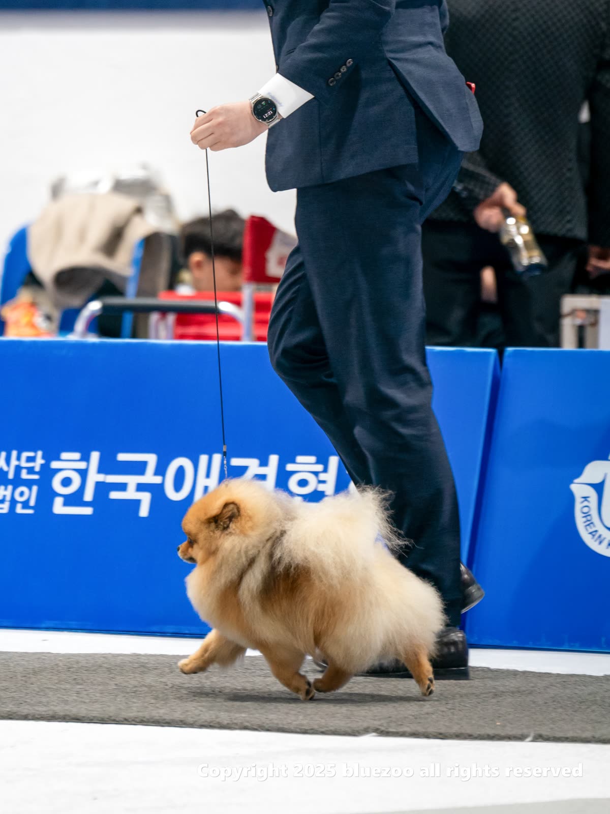 마늘 2