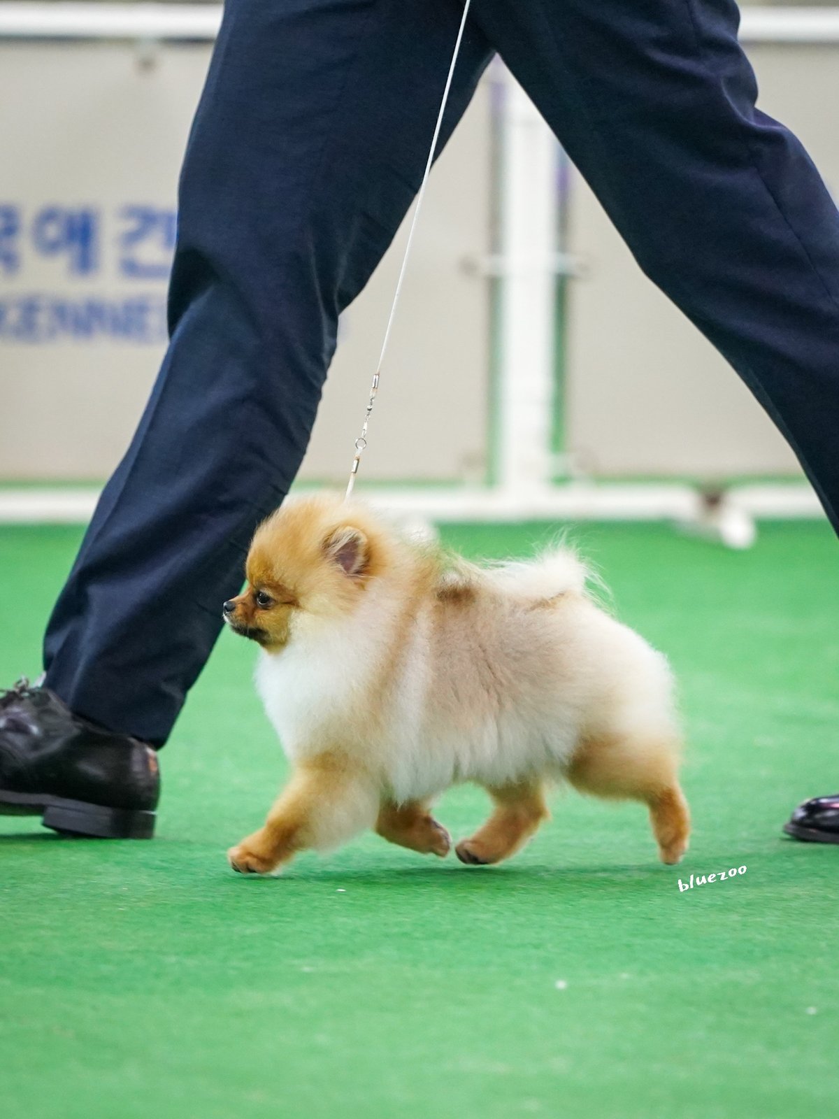 토토 6